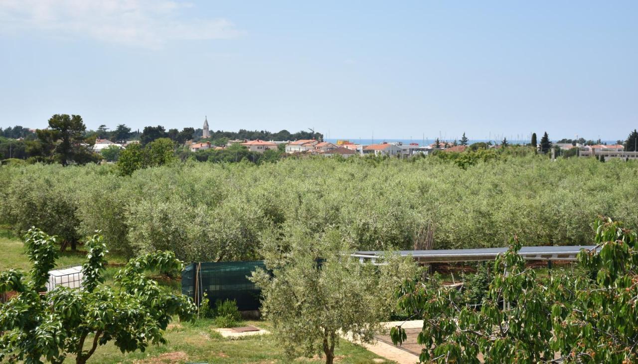Apartmani Diana Novigrad Istria 외부 사진