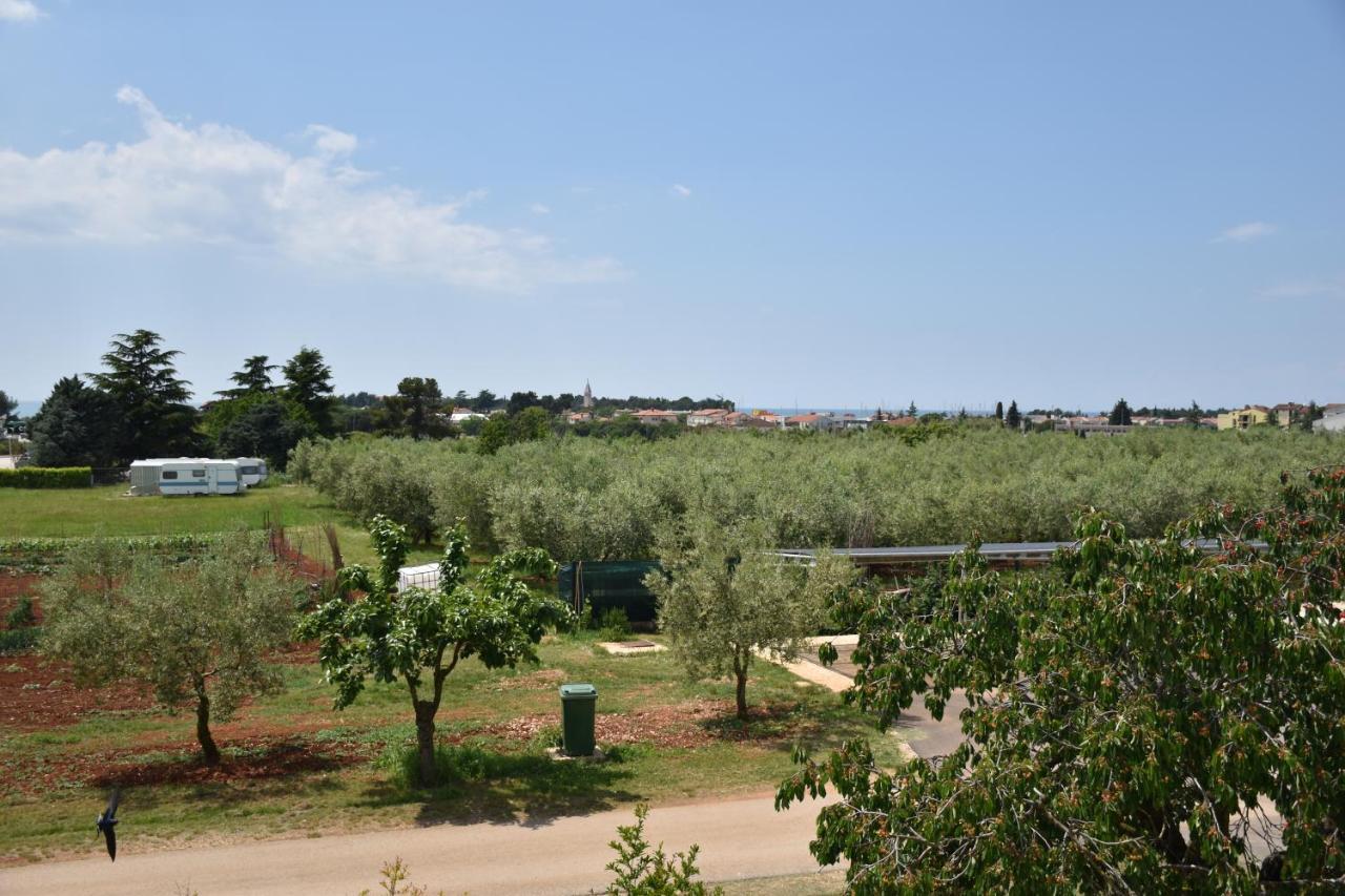 Apartmani Diana Novigrad Istria 외부 사진